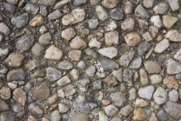 Vintage grey and brown floor paved - background