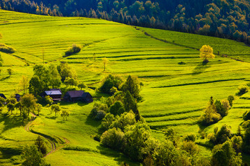 wiosna w Pieninach © Janusz Lipiński
