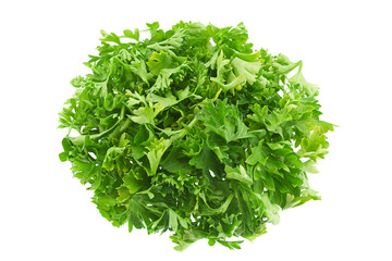 Parsley herb on white