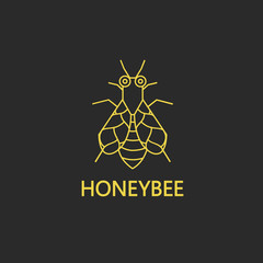 Vector line logo with honeybee.