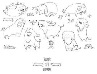 Cute little puppies set in various poses, jumping, sleeping, running, sitting, with fun accessories: bone, bow tie, medal. Isolated on white vector hand drawn illustration with mascot character