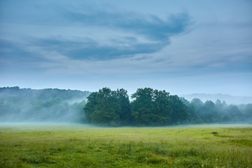 Obraz na płótnie Canvas Misty forests landscape