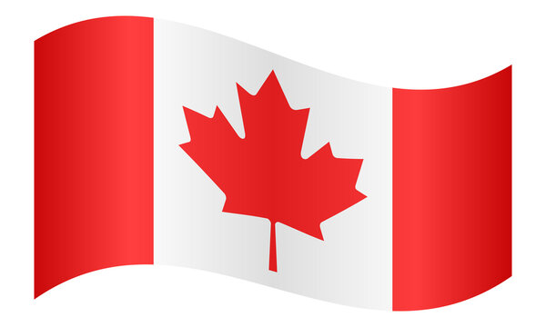 Flag of Canada waving on white background