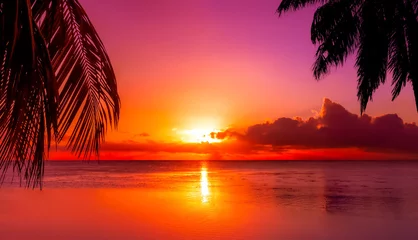 Zelfklevend Fotobehang Tahiti Sunset © jdross75