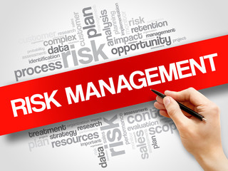 Risk Management word cloud, business concept