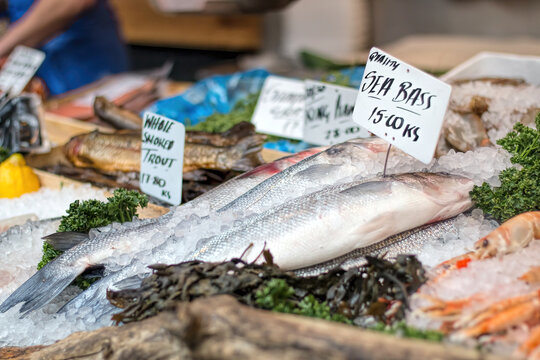 Fresh sea bass and seafood at market counter.
