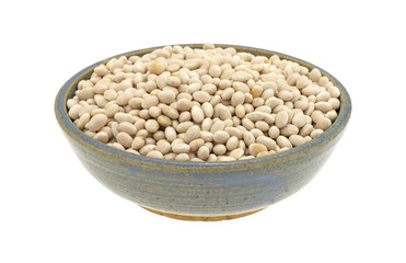 Full bowl of organic navy beans on a white background.