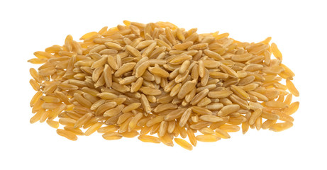 Portion of Khorasan wheat on a white background side view.