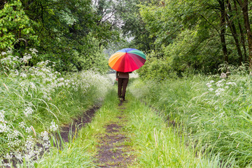 Spaziergang im Wald - Mensch mit großem bunten Regenschirm