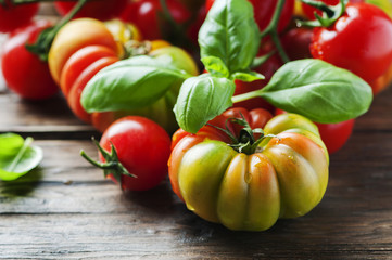 Italian basil and tomato on the wooden table