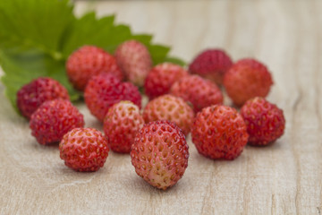 Forest berry - strawberries