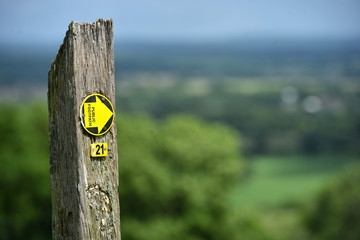 Sussex footpath
