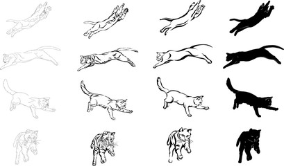 cat jump, different graphic options image