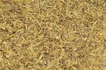Organic dry Liquorice or Mulethi (Glycyrrhiza glabra) tea cut. Macro close up background texture. Top view.