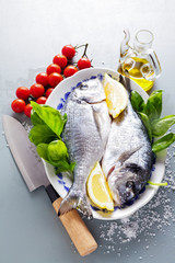 Delicious fresh fish on grey  background. Fish with aromatic her