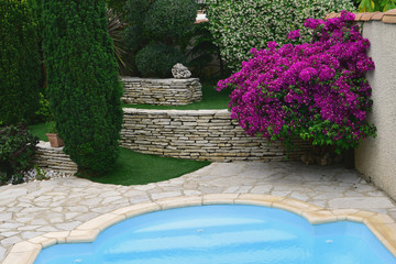 Garden and swimming pool with bougainvillea 5