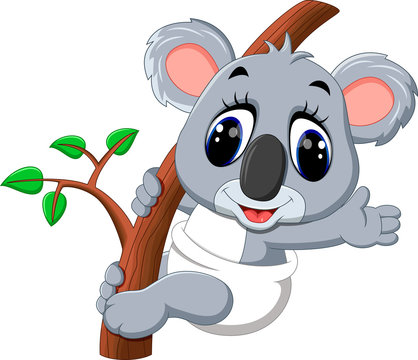 Koala Cartoon Images – Browse 29,574 Stock Photos, Vectors, and Video |  Adobe Stock