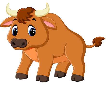 illustration of cute baby bull cartoon