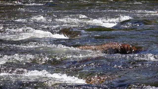 A close up of the River Spey that runs through the Balmoral Castle Estate in the Scottish Highlands. UK.