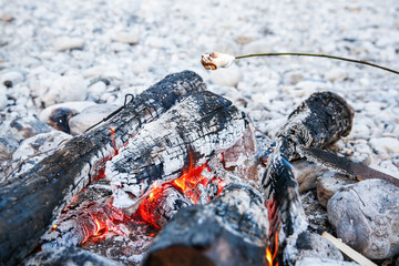 Marshmallows sticked on a twig, being toasted
