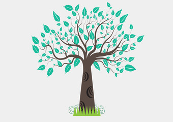 Fototapeta premium Tree leaves green on a white background.