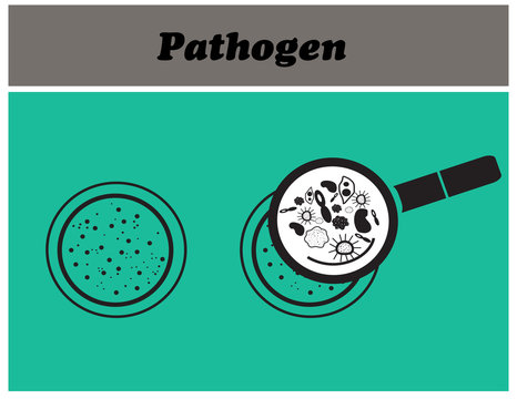 black germs and magnifying glass - Vector illustration.