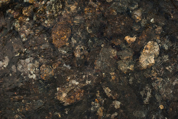 texture background splashing water and stones