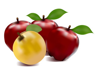 Vector illustration of detailed  shiny red and yellow apple.