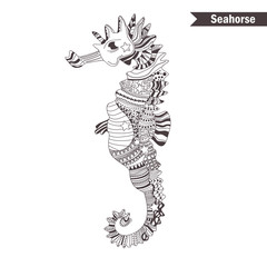 Seahorse. Hand drawn
