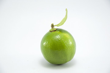 Lime isolated
