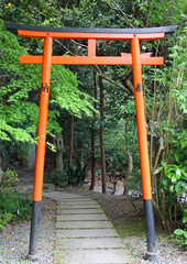 Petit torii vermillon d'un temple à Kyoto, Japon