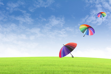 Umbrellas on the grass Background sky