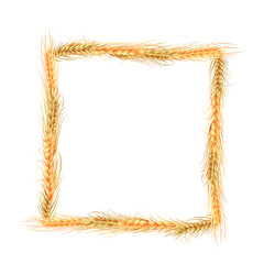isolated square frame of rye, barley and oats