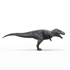 tyranosaur on white background isolated 3d rendering
