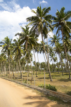 Negombo beach at Sri Lanka