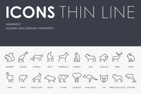 Mammals Thin Line Icons