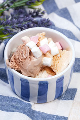 Homemade vanilla and chocolate ice cream with marshmallow, serve
