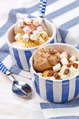 Homemade vanilla and chocolate ice cream with marshmallow, serve