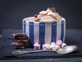 Homemade vanilla and chocolate ice cream with marshmallow, serve