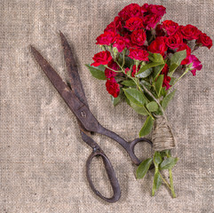 Grange photo Bouquet of Red Roses and Old Rusty Scissors