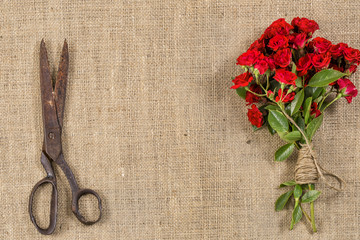 Bouquet of Red Roses and Old Rusty Scissors on on rustic jute background
