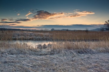 Fototapeta premium Lake at frosty morning