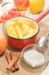home made christmas applesauce with cinnamon sticks