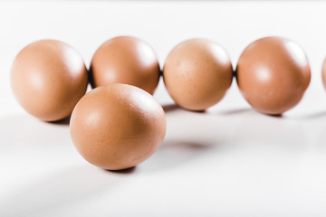 eggs isolated on white background