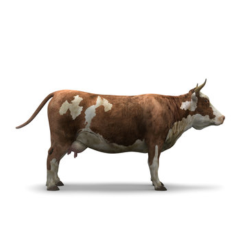 Cow on white background isolated 3d rendering