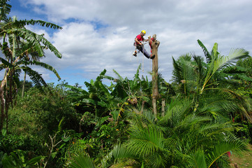 La R&eacute;union - &Eacute;lagage