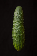 cucumber on a black background