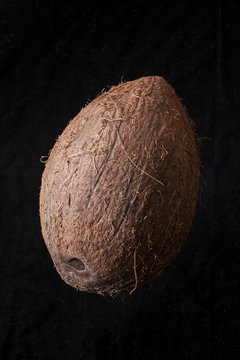 coconut on a black background