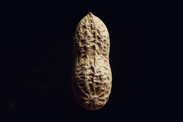 Peanut on black background