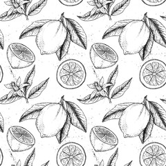 Hand drawn vector seamless pattern. Collections of Lemons. Lemon